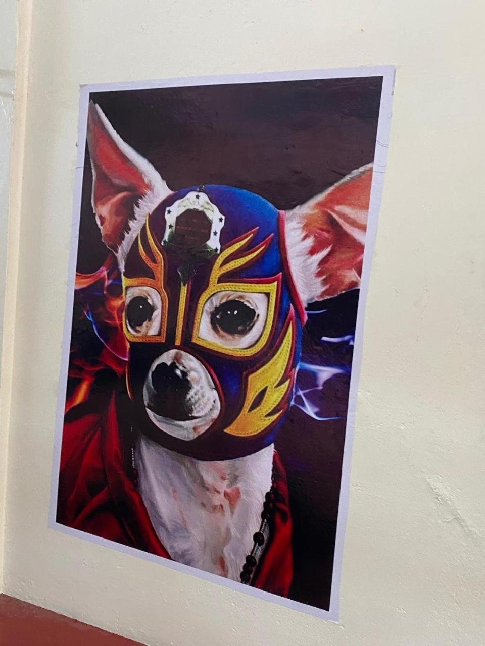 Mil Mascaras Hotel Oaxaca Luaran gambar
